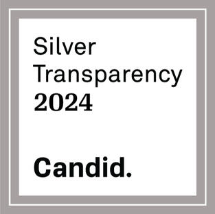 Silver Transparency - Candid